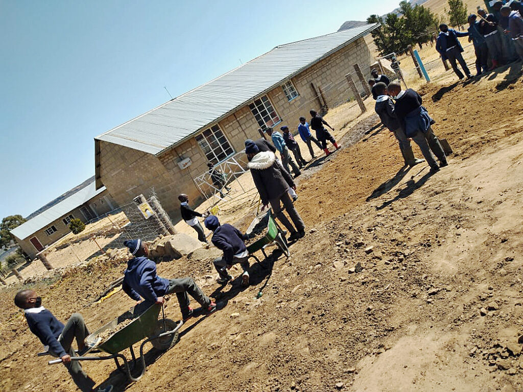 Students improving environment