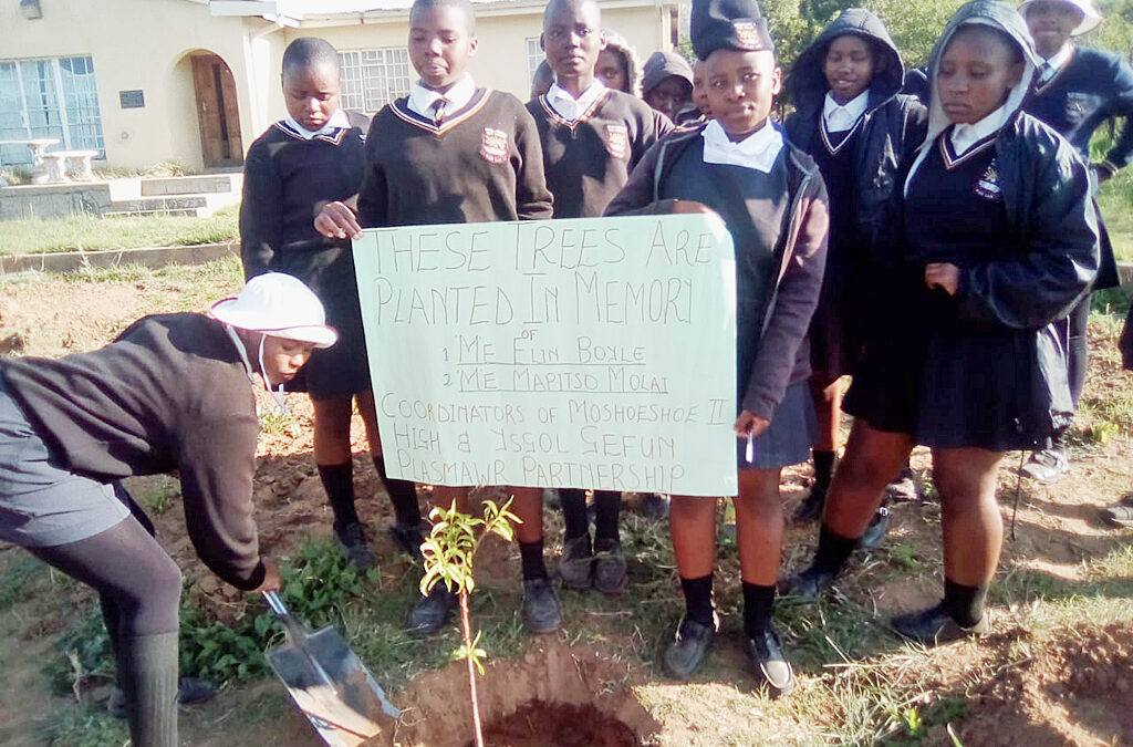 Celebrating trees!
